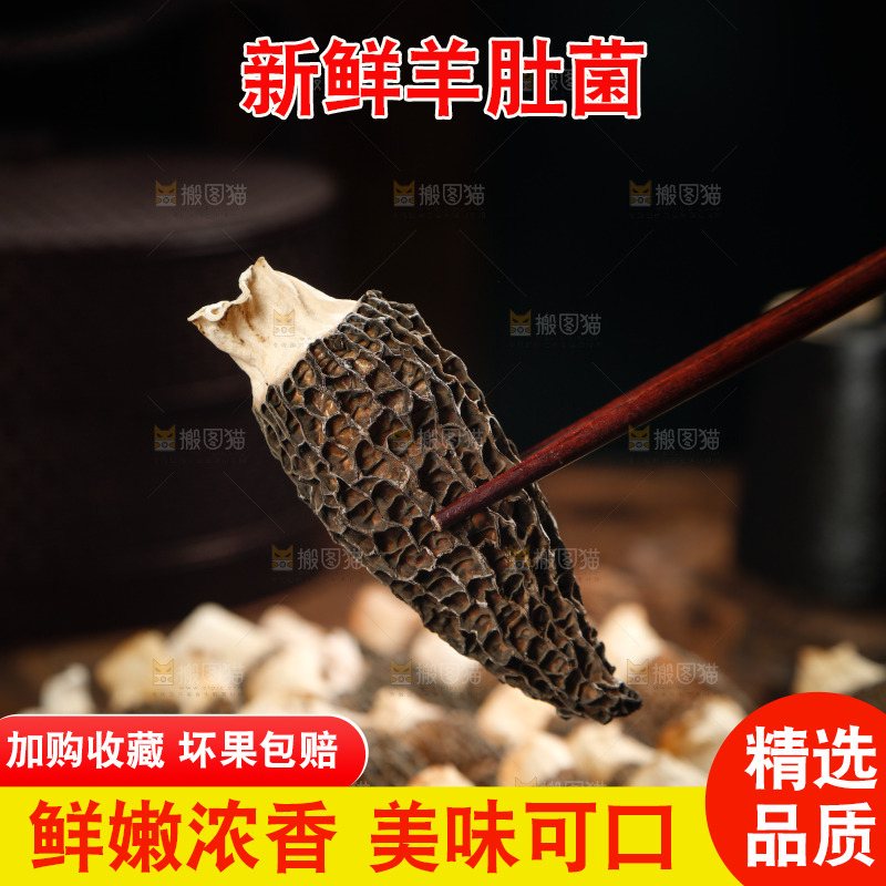筷子上夹着羊肚菌