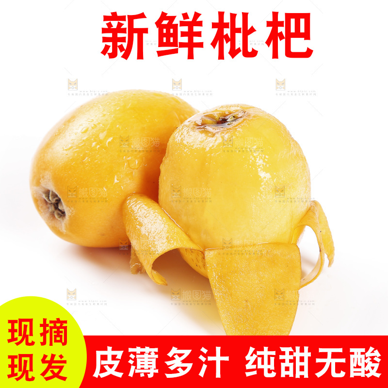 白底上的米易枇杷