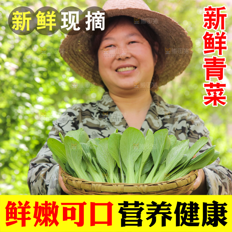 手里端着一篮青菜