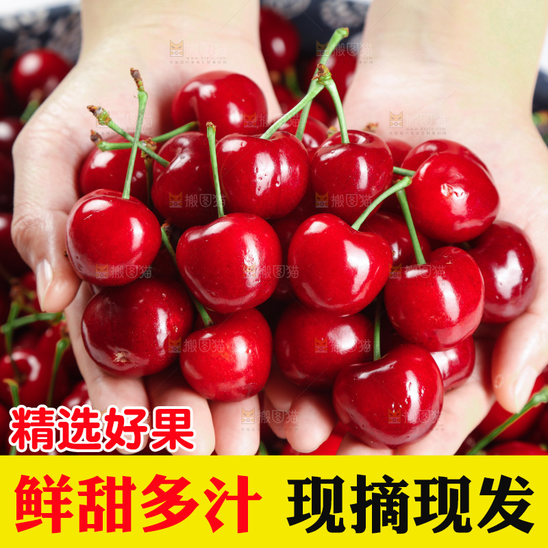 大樱桃纹理