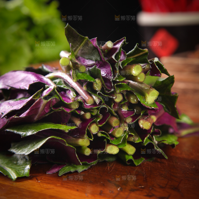 木底上放着紫背天葵