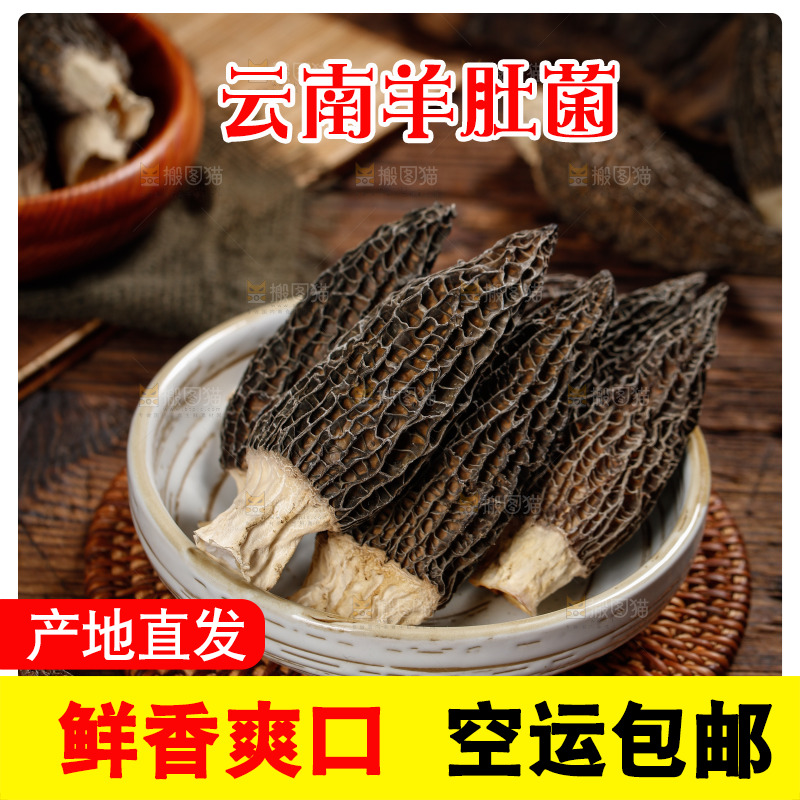 一盘云南羊肚菌
