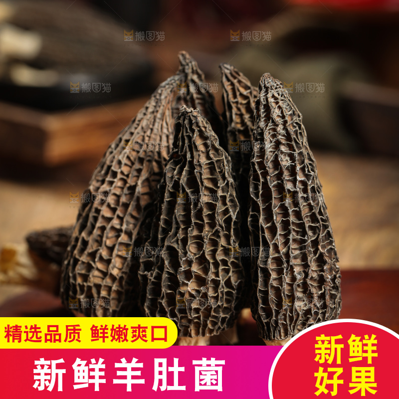 木底上摆放着羊肚菇