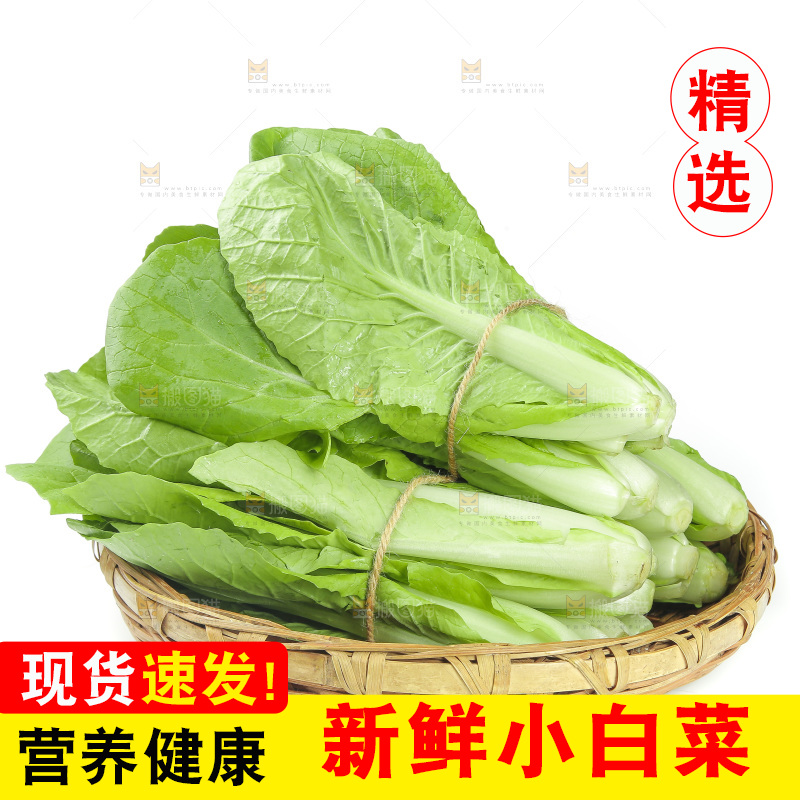 一篮奶油小白菜