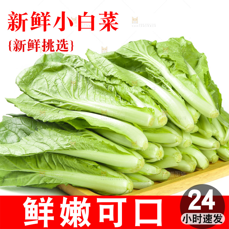 一堆新鲜青菜