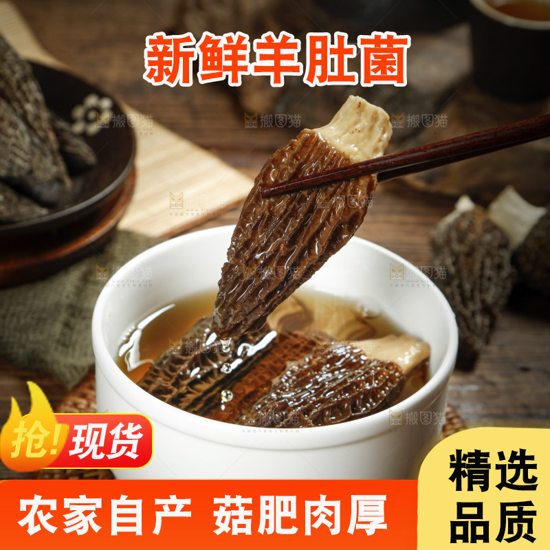 筷子上夹着羊肚菌