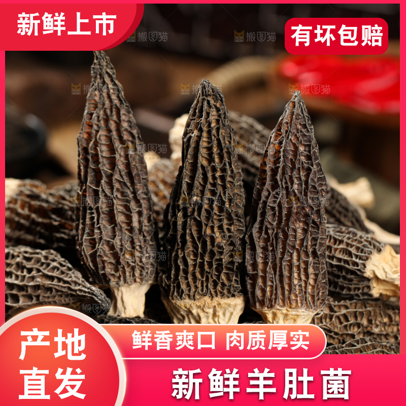 一篮干羊肚菌