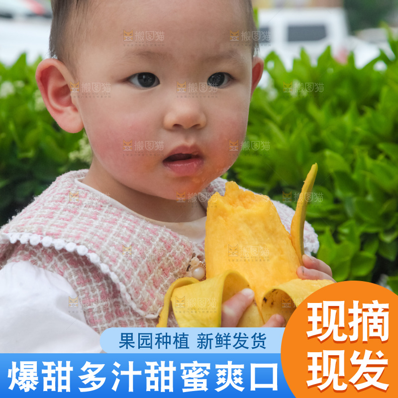 儿童抱着水仙芒