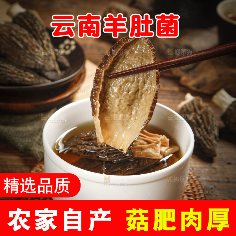 筷子上夹着羊肚菌