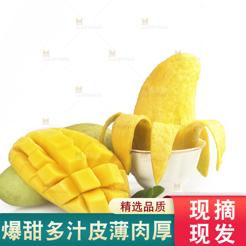 白底上放着金煌芒