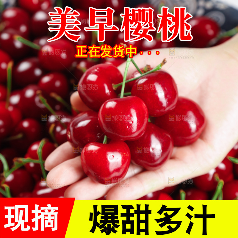大樱桃纹理