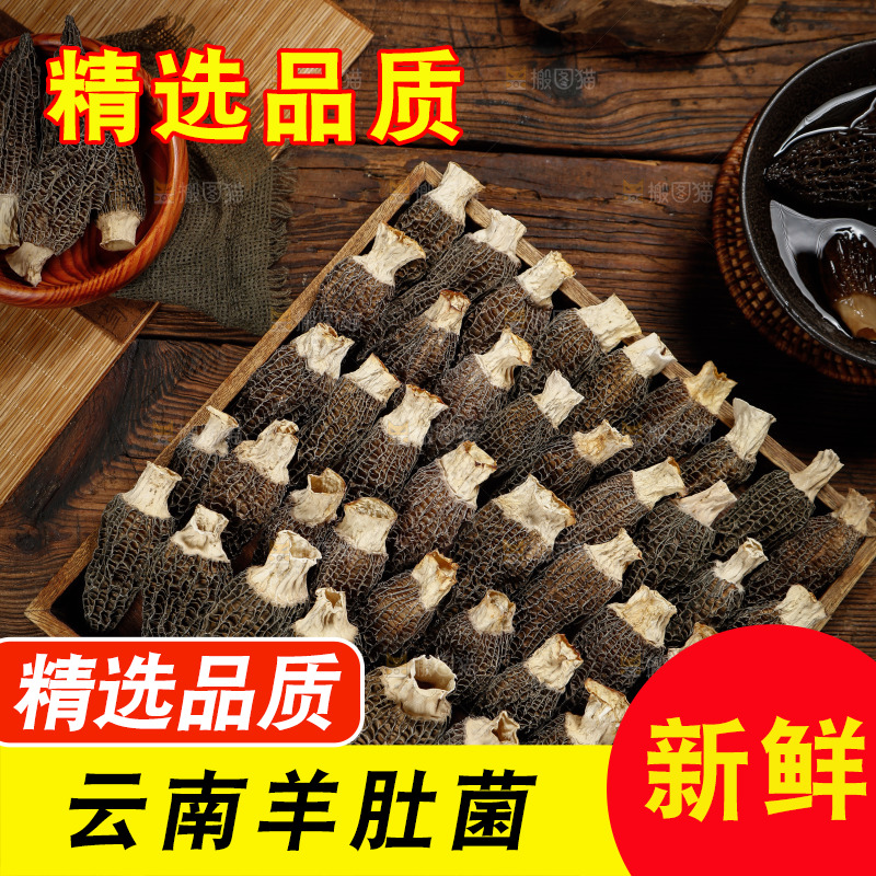 一盘山珍羊肚菌