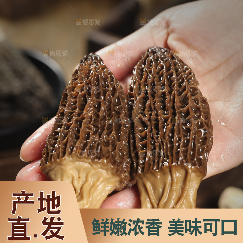 手里拿着羊肚蘑