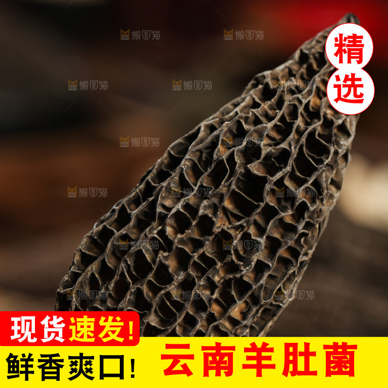 手里拿着干羊肚菌