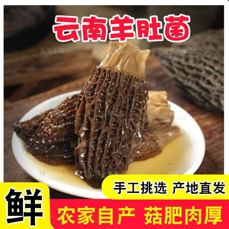 一盘泡发过的羊肚菌