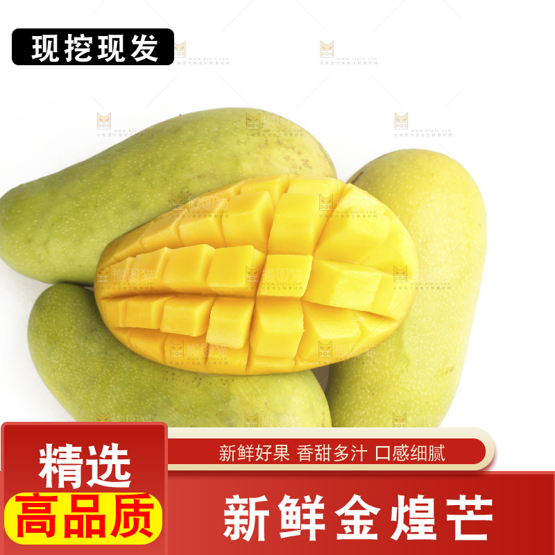白底上放着金煌芒