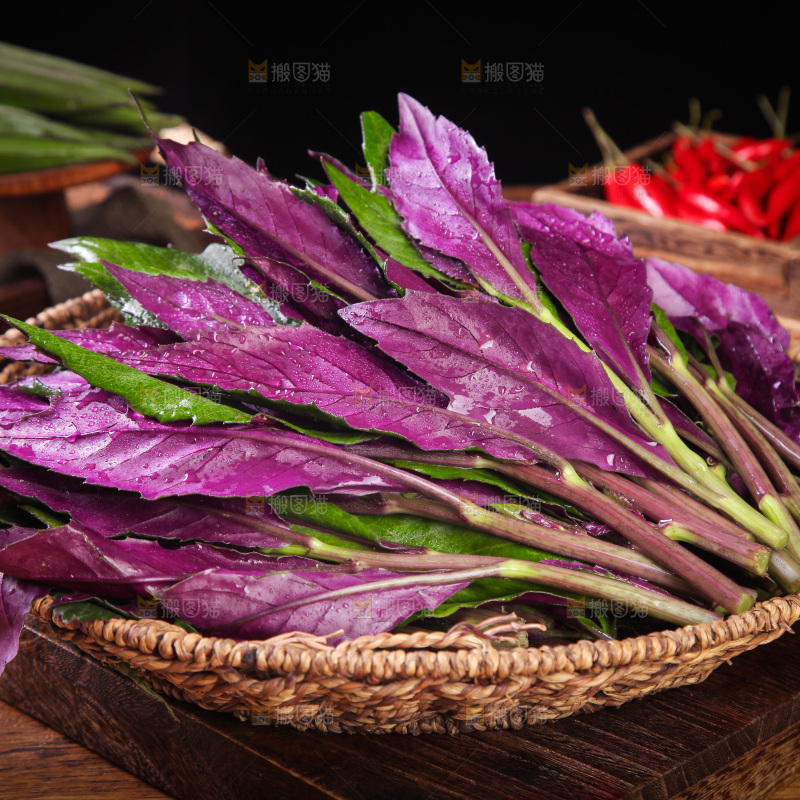 一篮新鲜紫背天葵