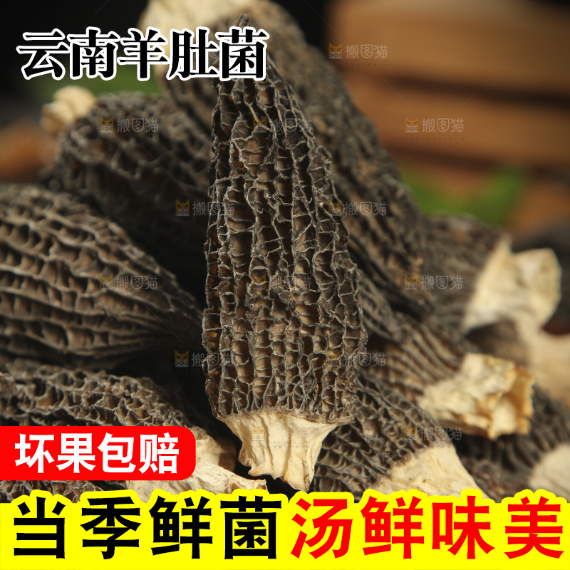 一篮干羊肚菌