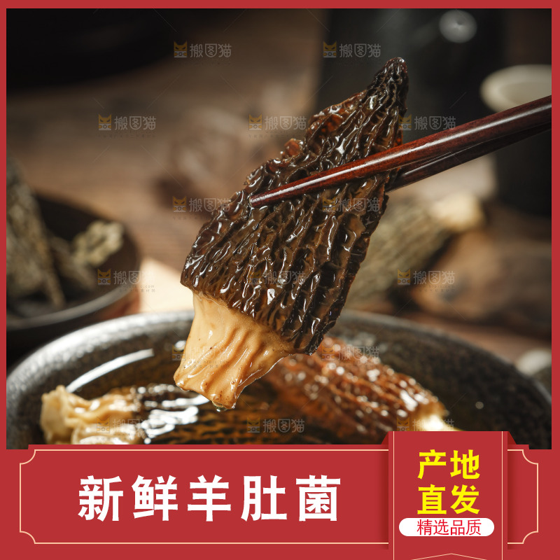 筷子上夹着羊肚菌