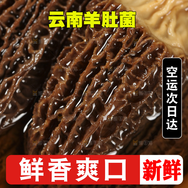 碗里泡着羊肚菌