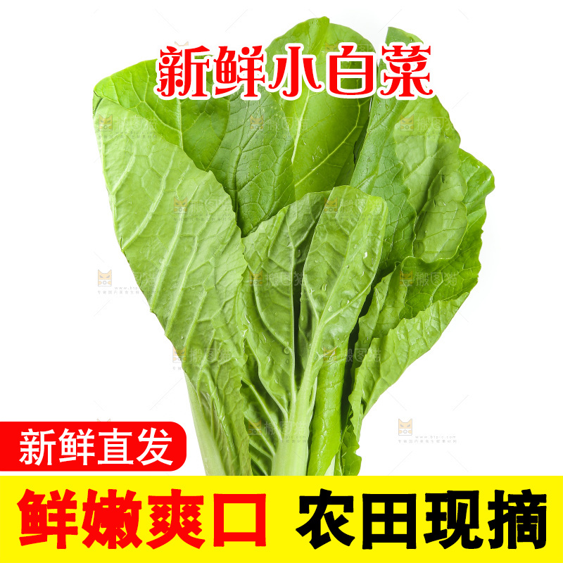 手里拿着青菜