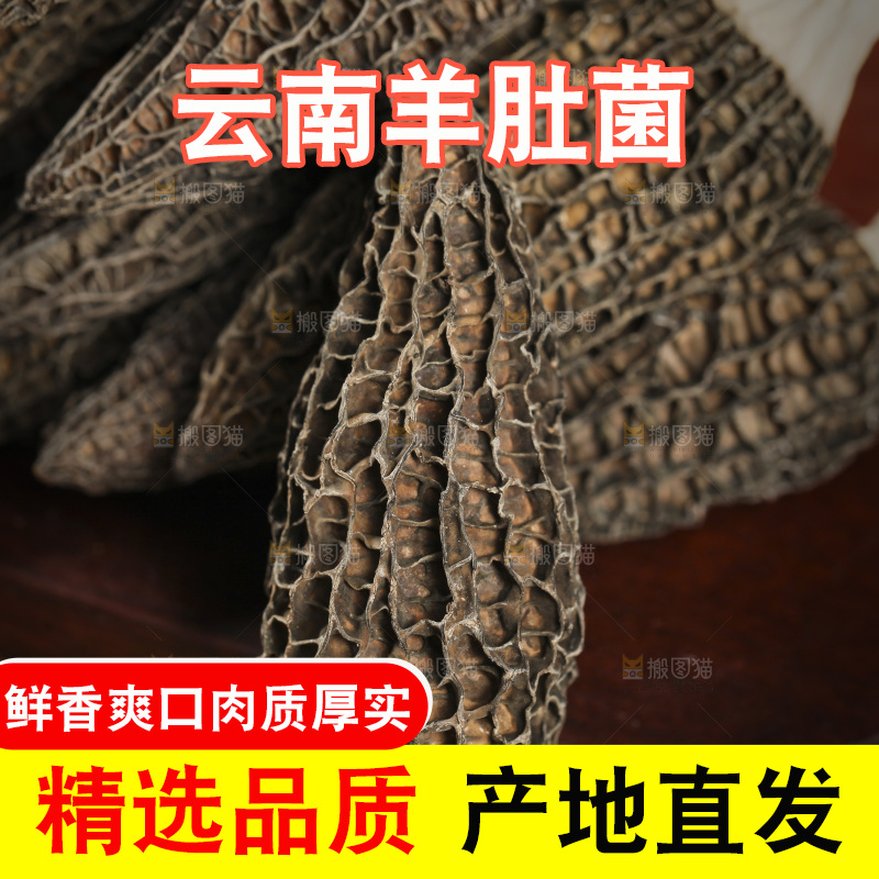 木底上放着羊肚菌
