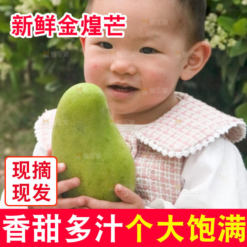 儿童手里抱着大金煌芒