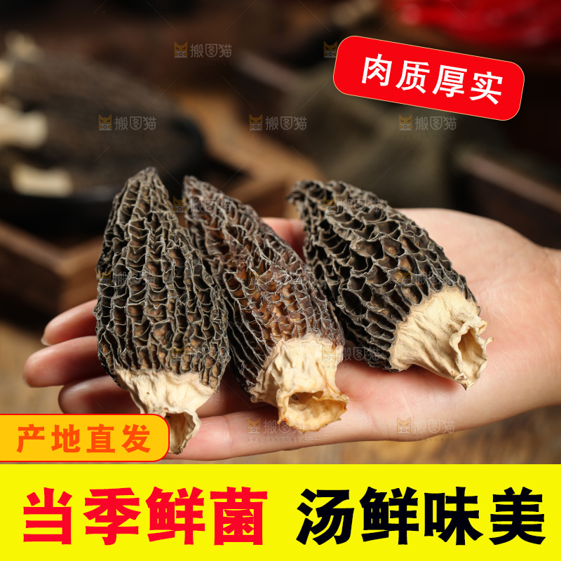 手里拿着云南羊肚菌