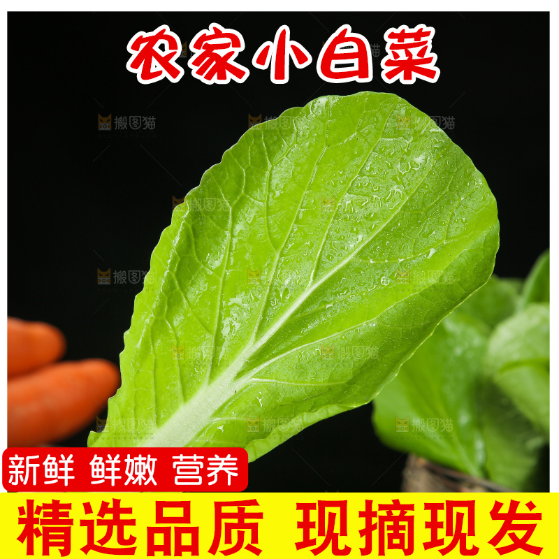 手里拿着小白菜叶子