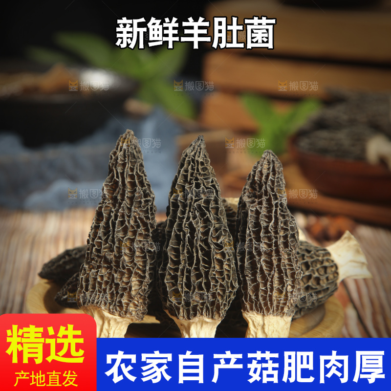 木底上放着一盘羊肚菌