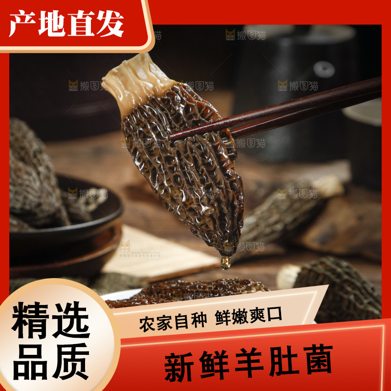 筷子上夹着羊肚菌