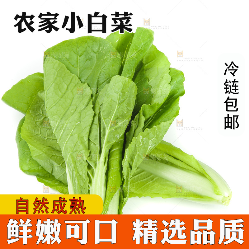 白底上放着小白菜