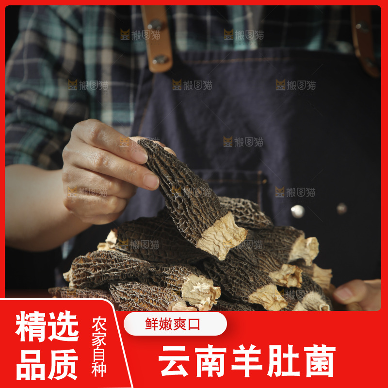 手里端着一篮云南羊肚菌