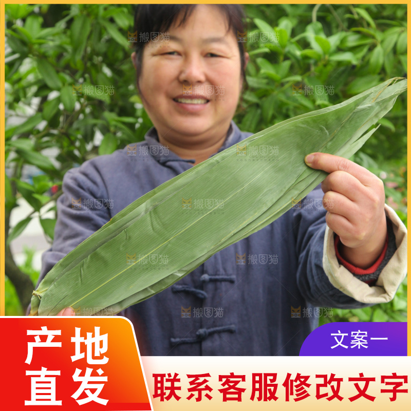 手里拿着大粽叶