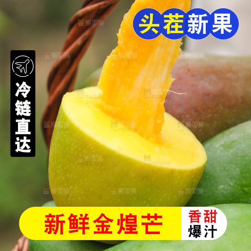 一篮水仙芒