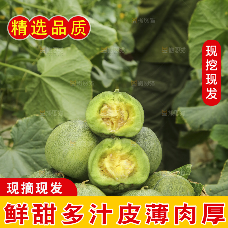一篮新鲜绿宝甜瓜