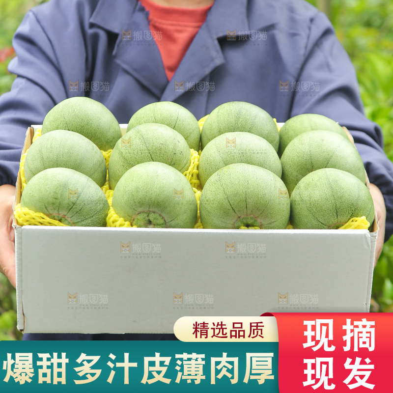 手里端着一箱绿宝甜瓜