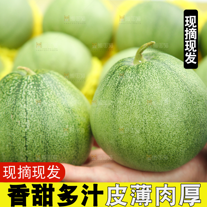 绿宝石甜瓜纹理