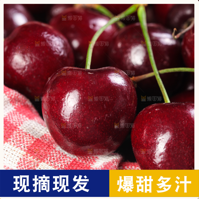 一篮美早大樱桃