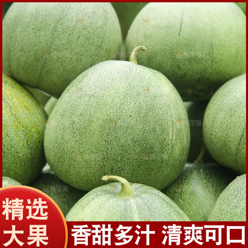 绿宝石甜瓜纹理