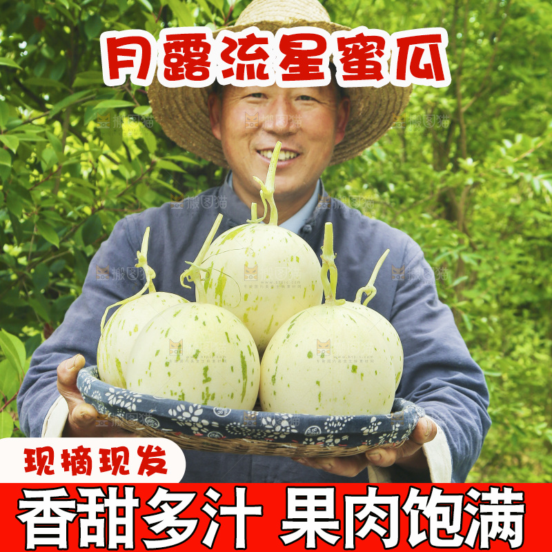手里端着一篮月露流星蜜瓜