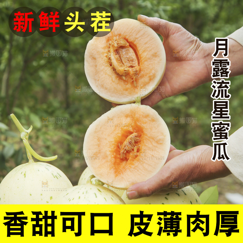 掰成两半的红心月露流星蜜瓜