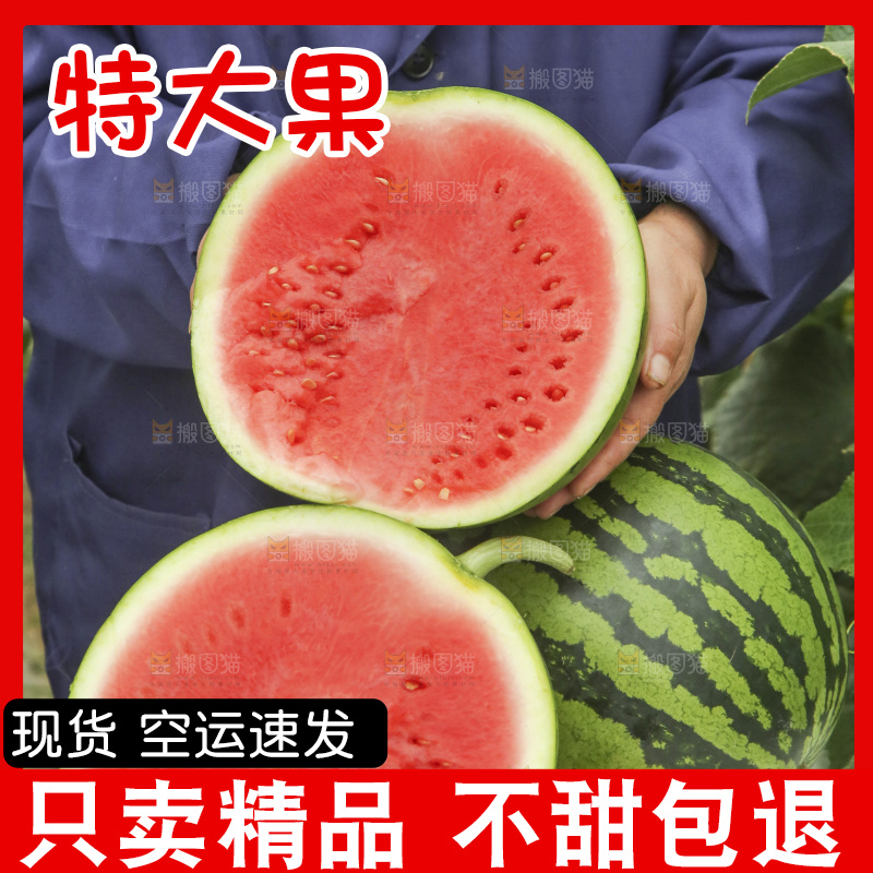 桌子上摆放着麒麟西瓜