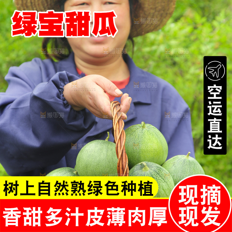 手里提着一篮绿宝甜瓜