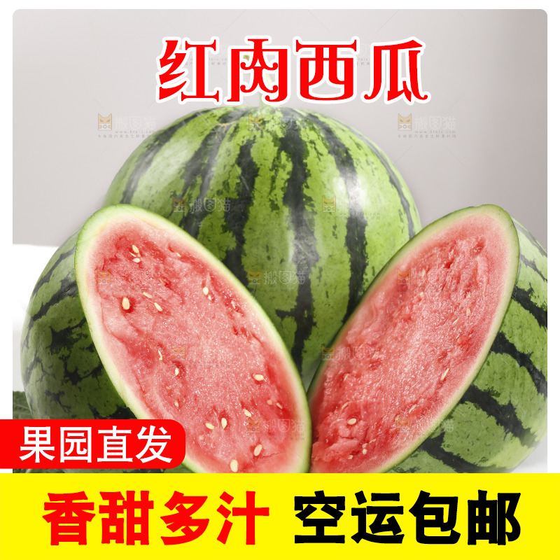 白底上放着冰糖西瓜