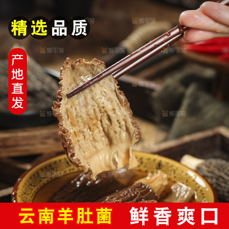 筷子上夹着羊肚菇