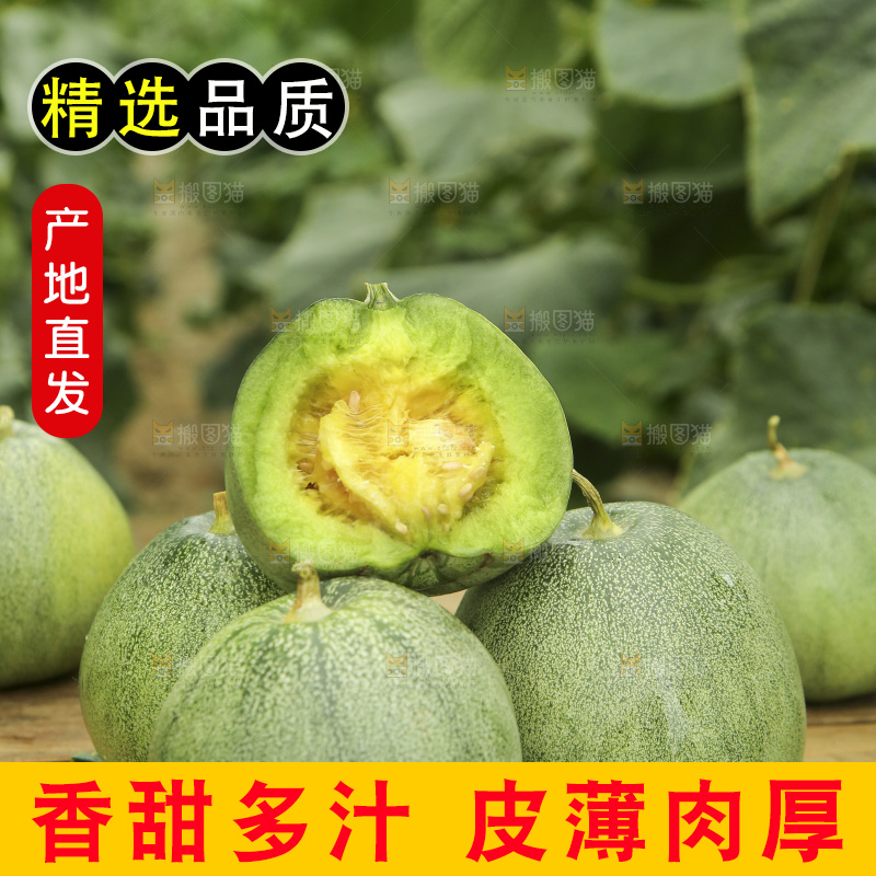 桌子上摆放着绿宝甜瓜
