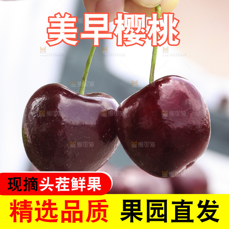 手里拿着大樱桃