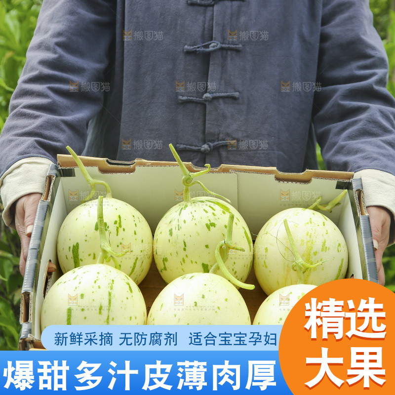 手里端着一篮月露流星蜜瓜