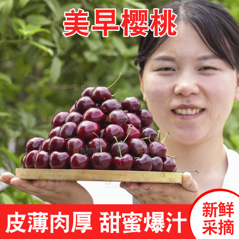 手里端着一盘美早大樱桃